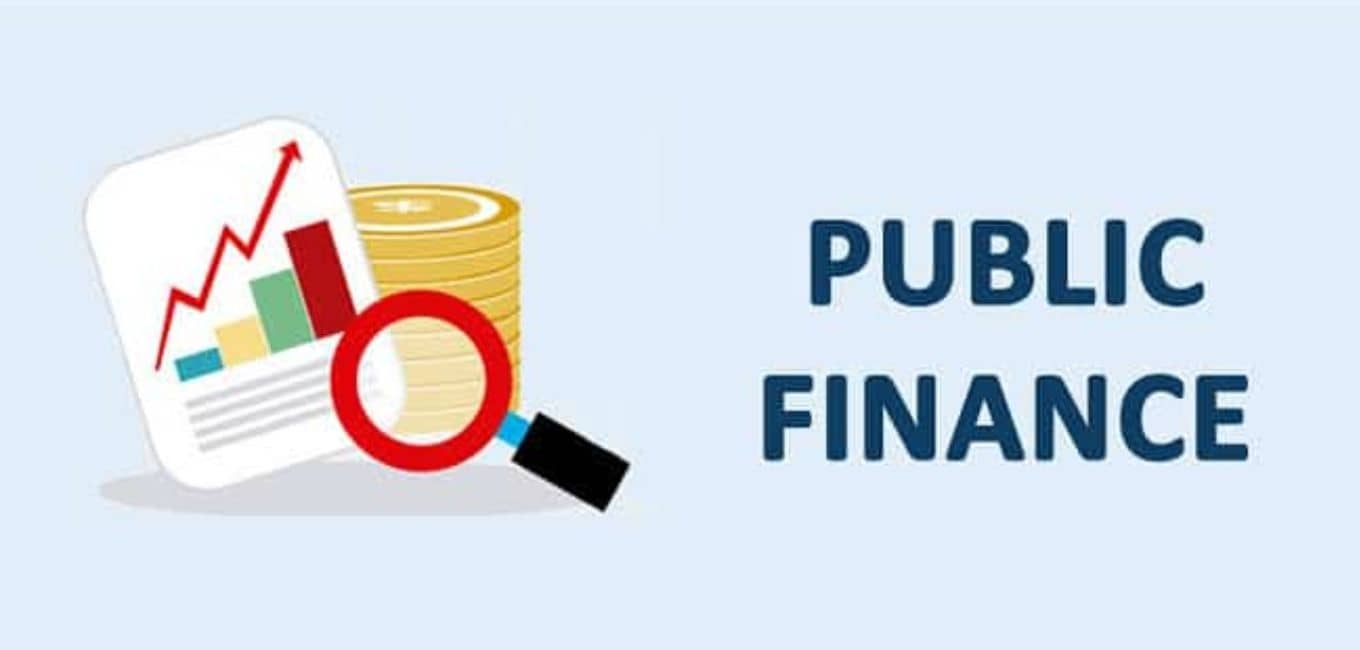  Public Finances: Scope, Components & Examples 